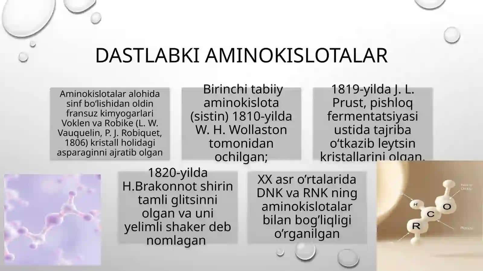 AMINOKISLOTALAR 2