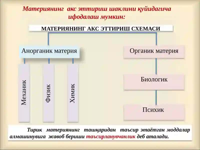 ХУЛК-АТВОРНИНГ РСИХОФИЗИОЛОГИК АСОСЛАРИ 2