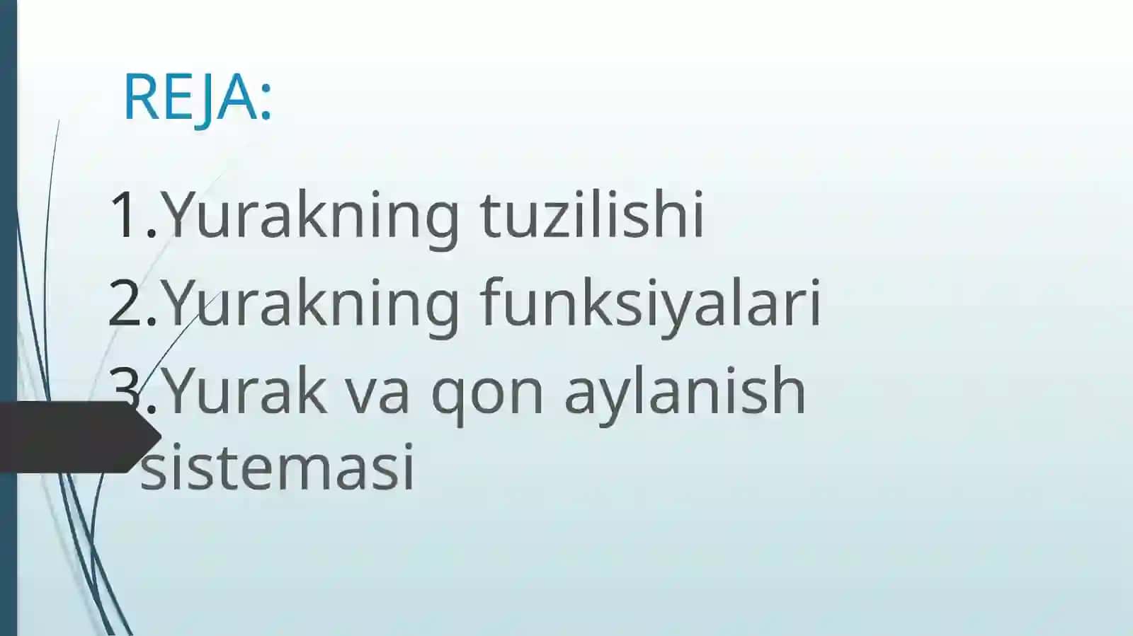 YURAKNING TUZILISHI 2