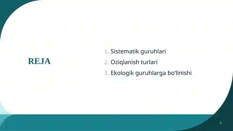 Sistematik guruhlari 2