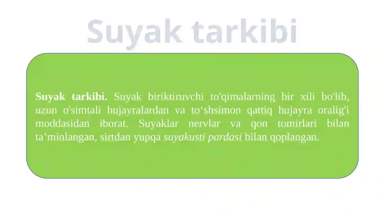 Yuzsuyaklari 2