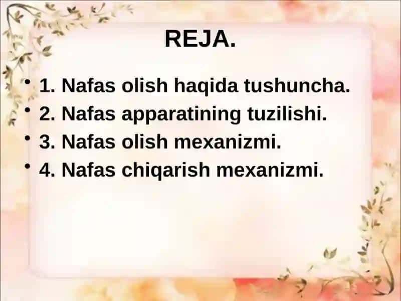 Nafasolishfiziologiyasi 2