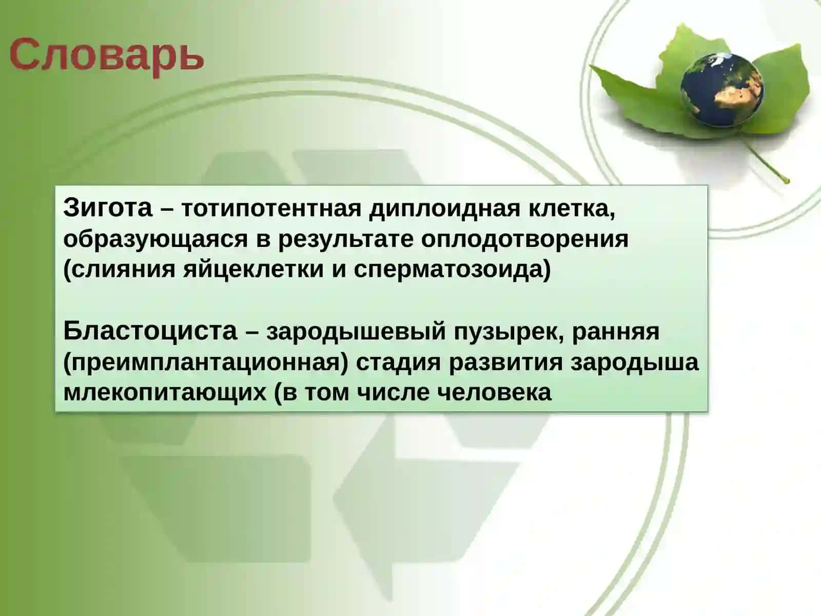 ОСНОВЫ БИОТЕХНОЛОГИИ 2