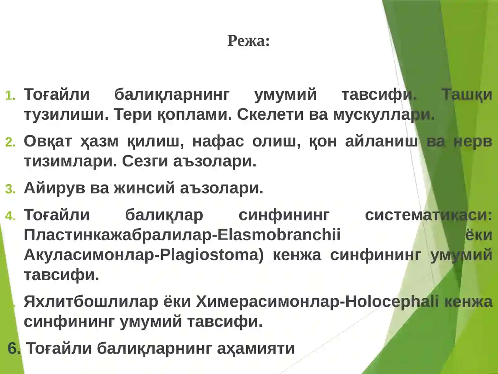 Тоғайли балиқлар-Pisces катта синфи 2