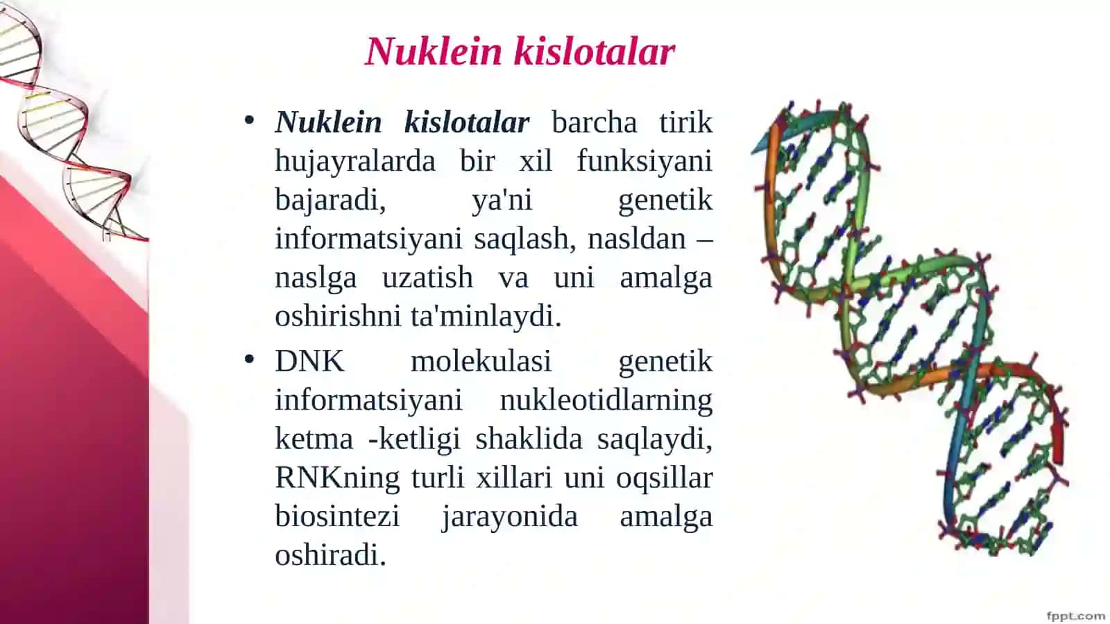 Nuklein kislotalar va irsiy belgilar 2