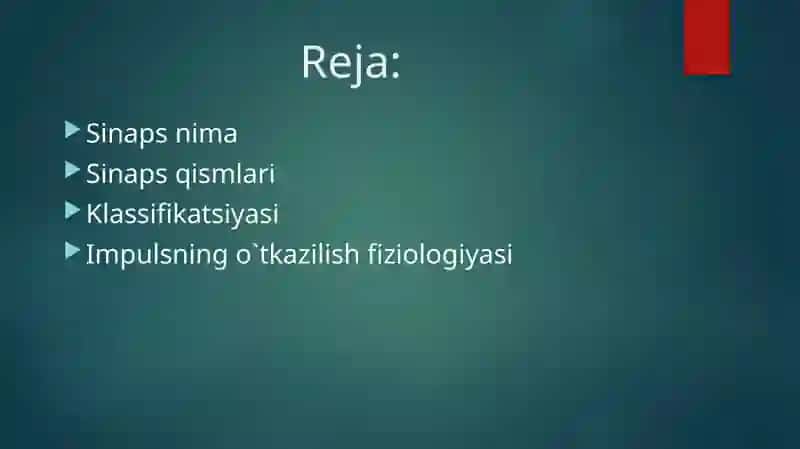 Sinapsfiziologiyasi 2