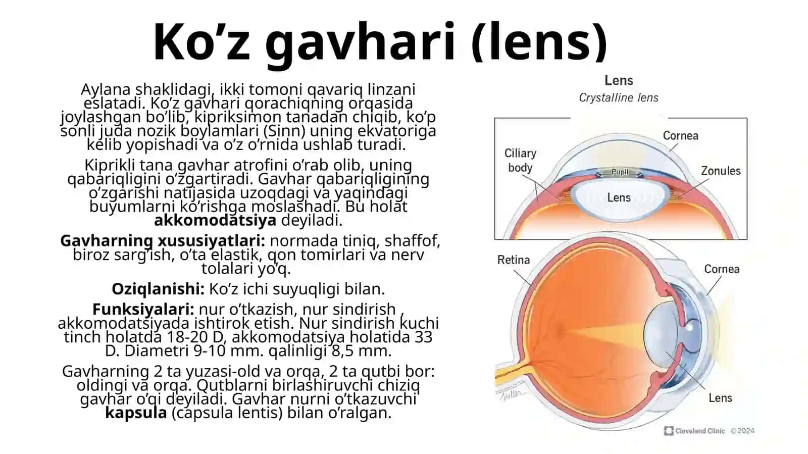 Gavharanatomiyasi 2