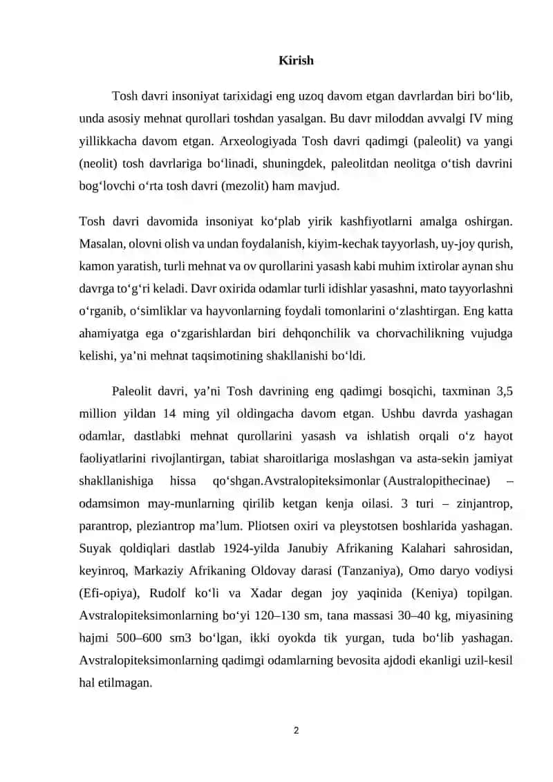 Australopiteklarga tegishli arxeologik artefaktlar 2