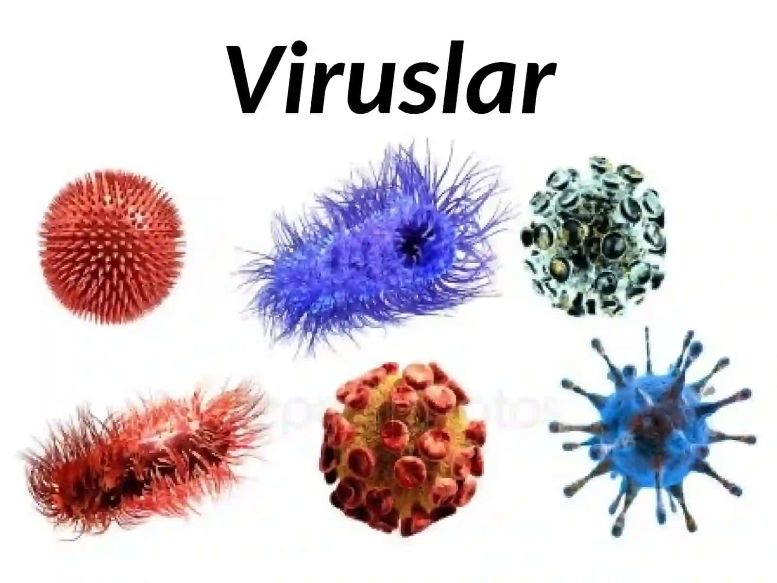 Viruslar 2