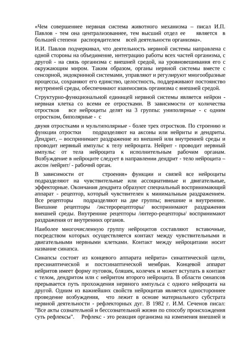 Центральнaя нервная система 2
