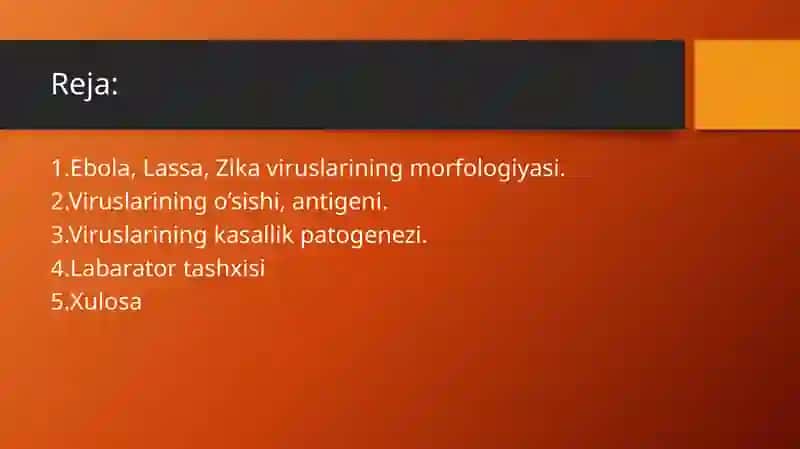 Ebola, Lassa, Zikaviruslariningmorfologiyasi 2