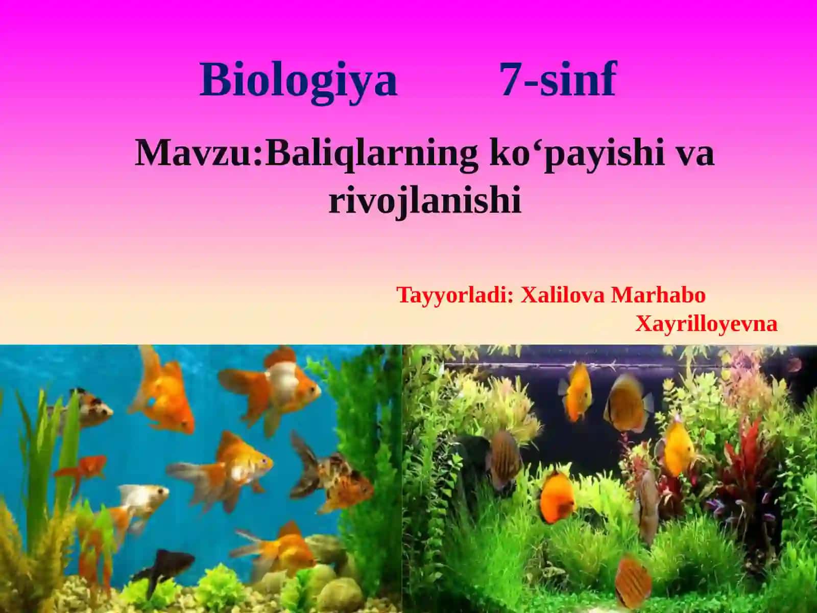 Baliqlarning ko‘payishi va rivojlanishi 2
