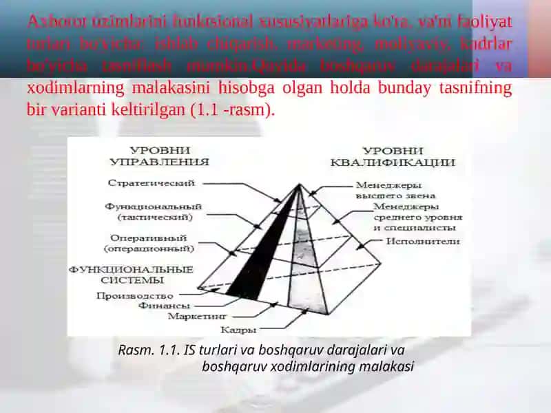 Axborottizimlari 2