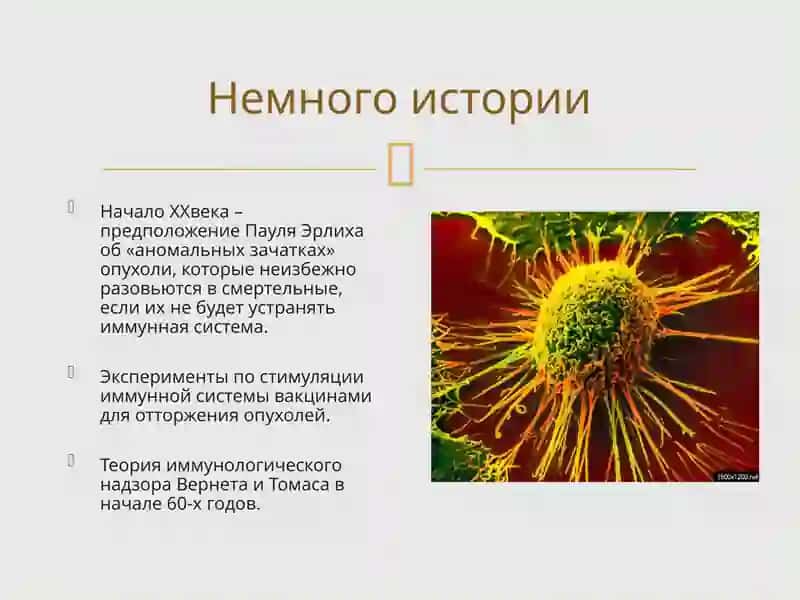 Иммунопатология ее роль в происхождении опухолевых клеток 2