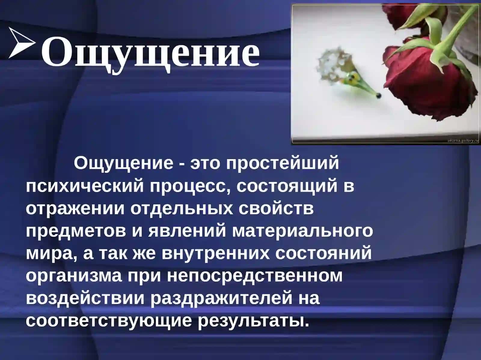Ощущение и восприятие 2