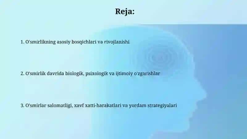 O'smirlik davri haqida tushuncha 2