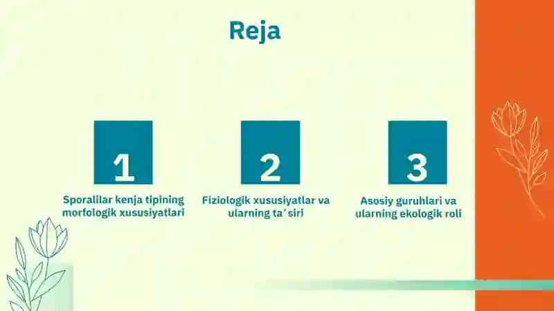 Sporalilar Kenja Tipining Morfologik Xususiyatlari 2