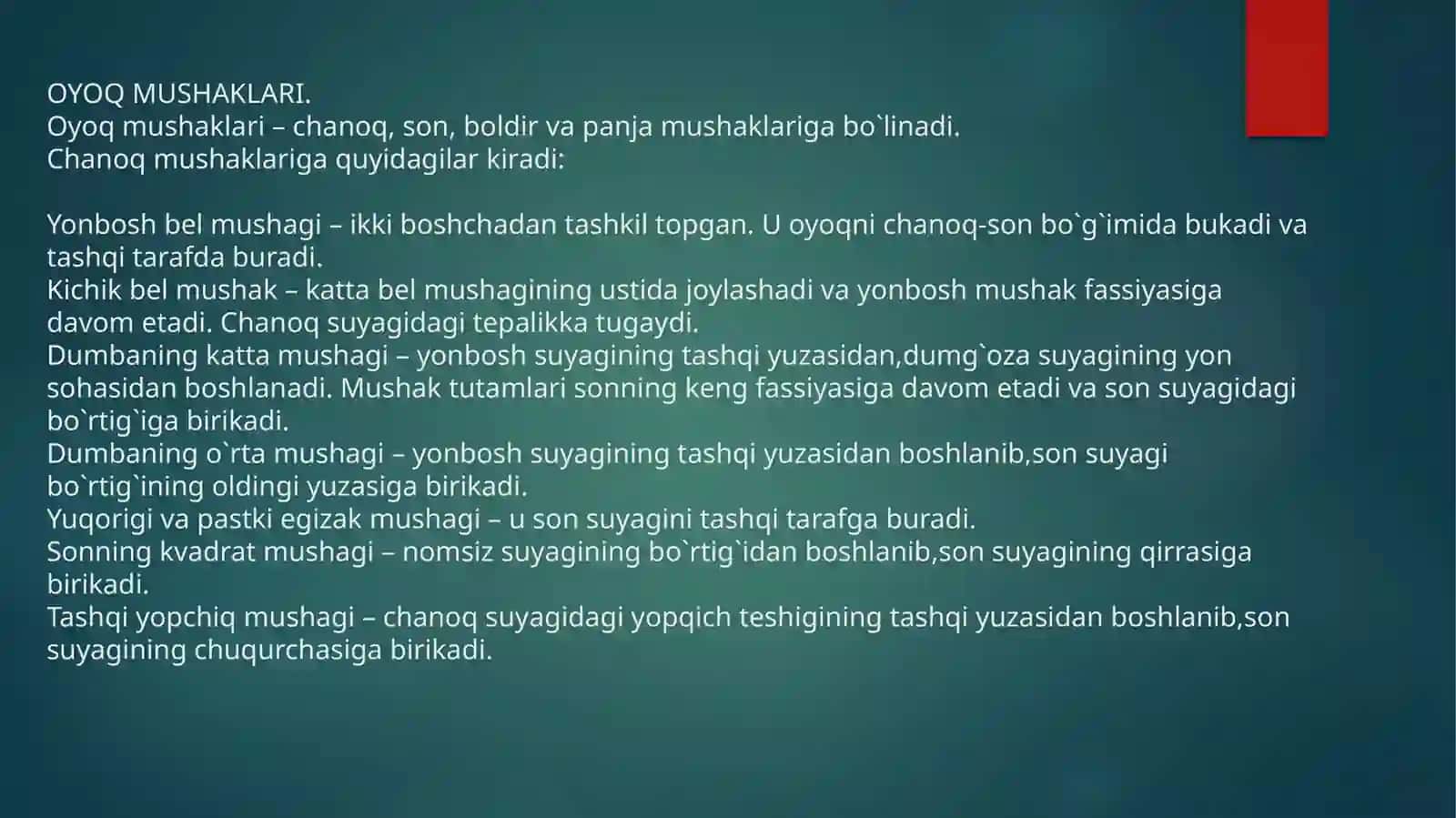 OYOQ MUSKULLARI 2