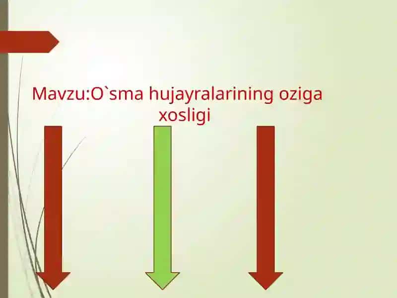 Kopayish Atipiyasi 2