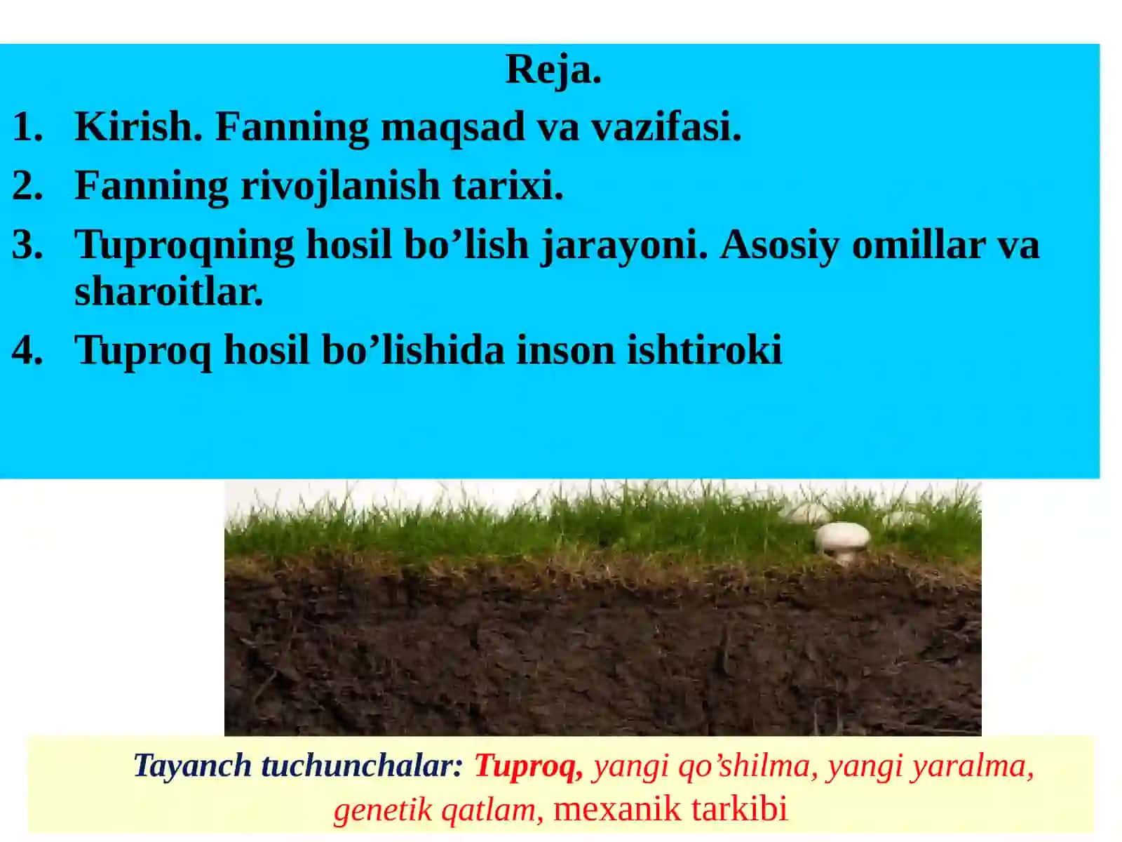 Tuproqshunoslik va dehqonchilik 2