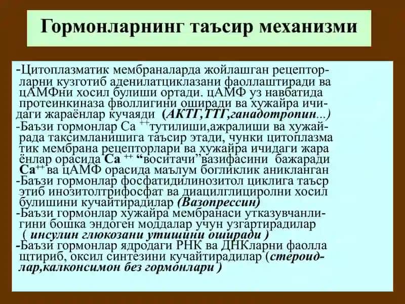 Гормонлар 2