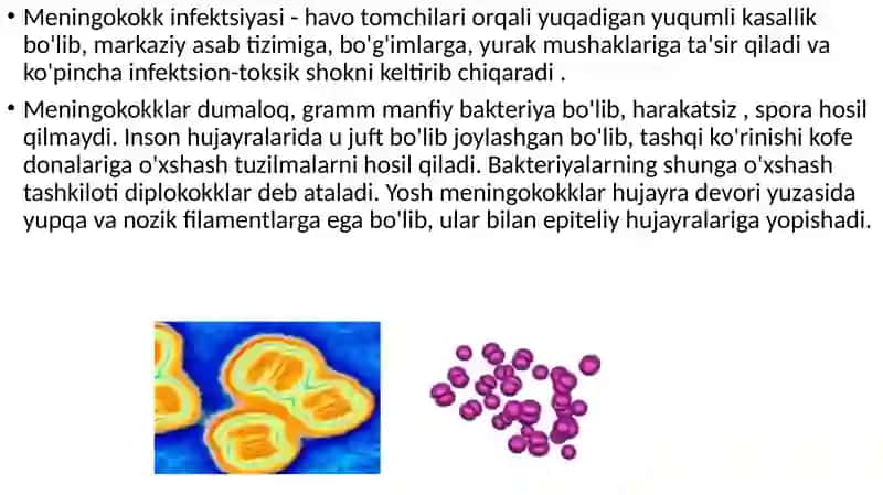 Meningokokkliinfektsiyasi(meningokokk) 2