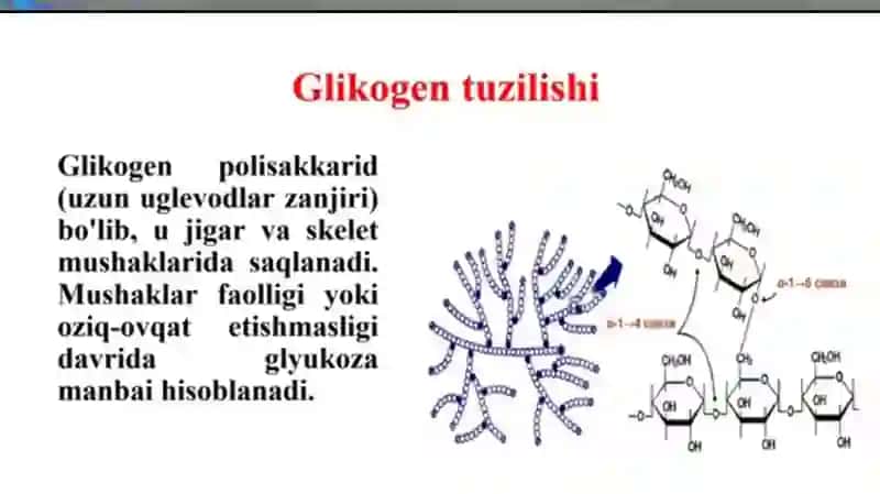 Glikogenozlar, Girke kasalligi, Pompe kasalligi 2
