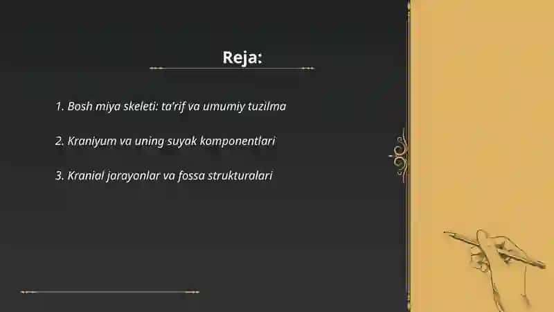 Bosh miya skeleti vazifasi va funksiyalari 2
