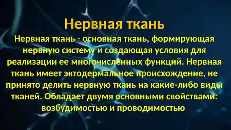 нервная ткань 2