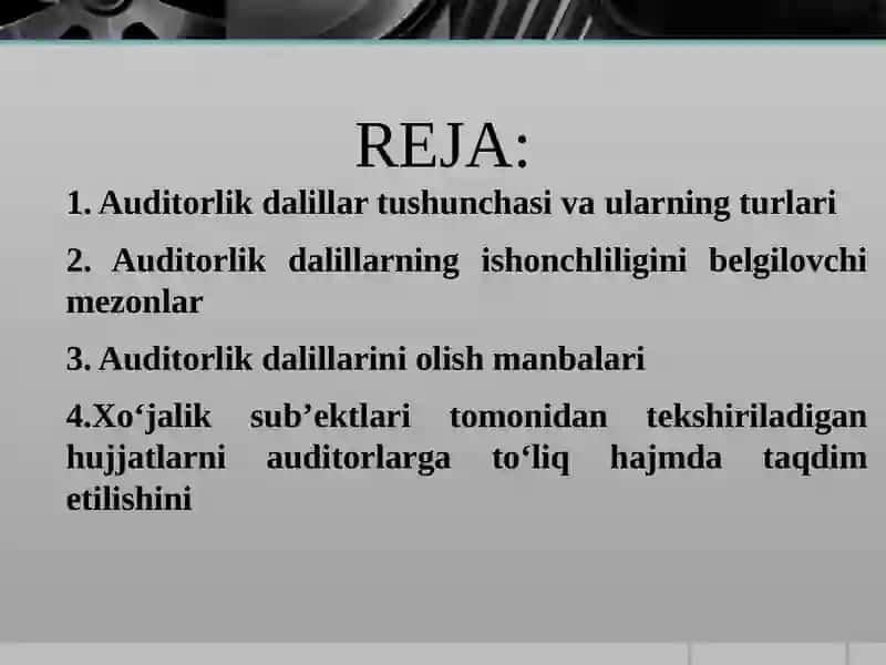 Auditorlik Dalillar 2