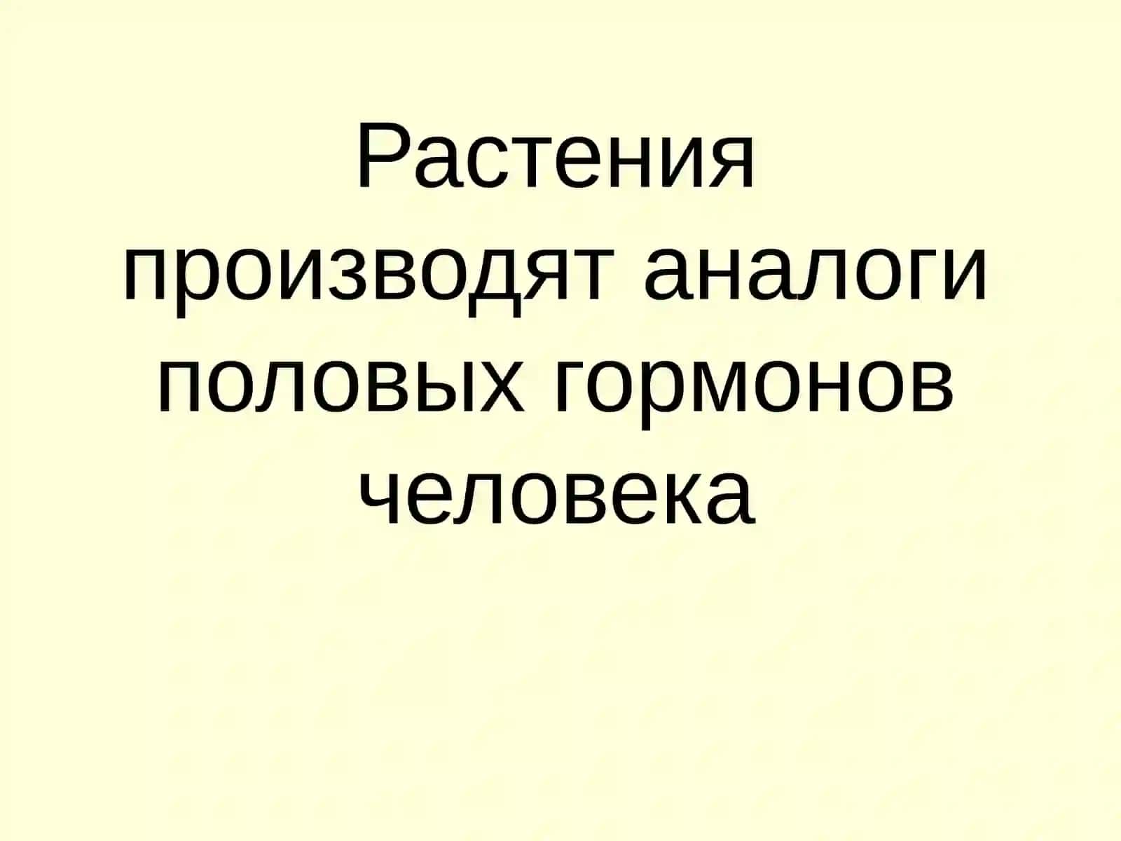 Растения и их полезные свойства 2