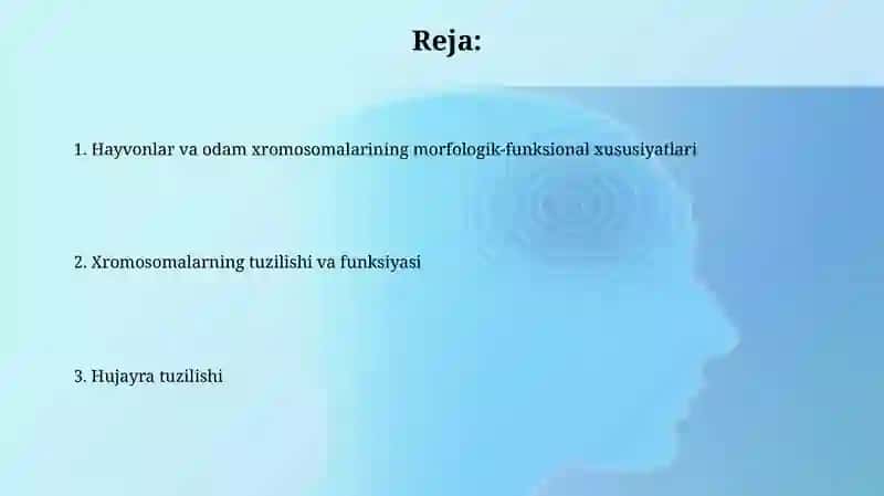 Hujayra tuzilishi 2