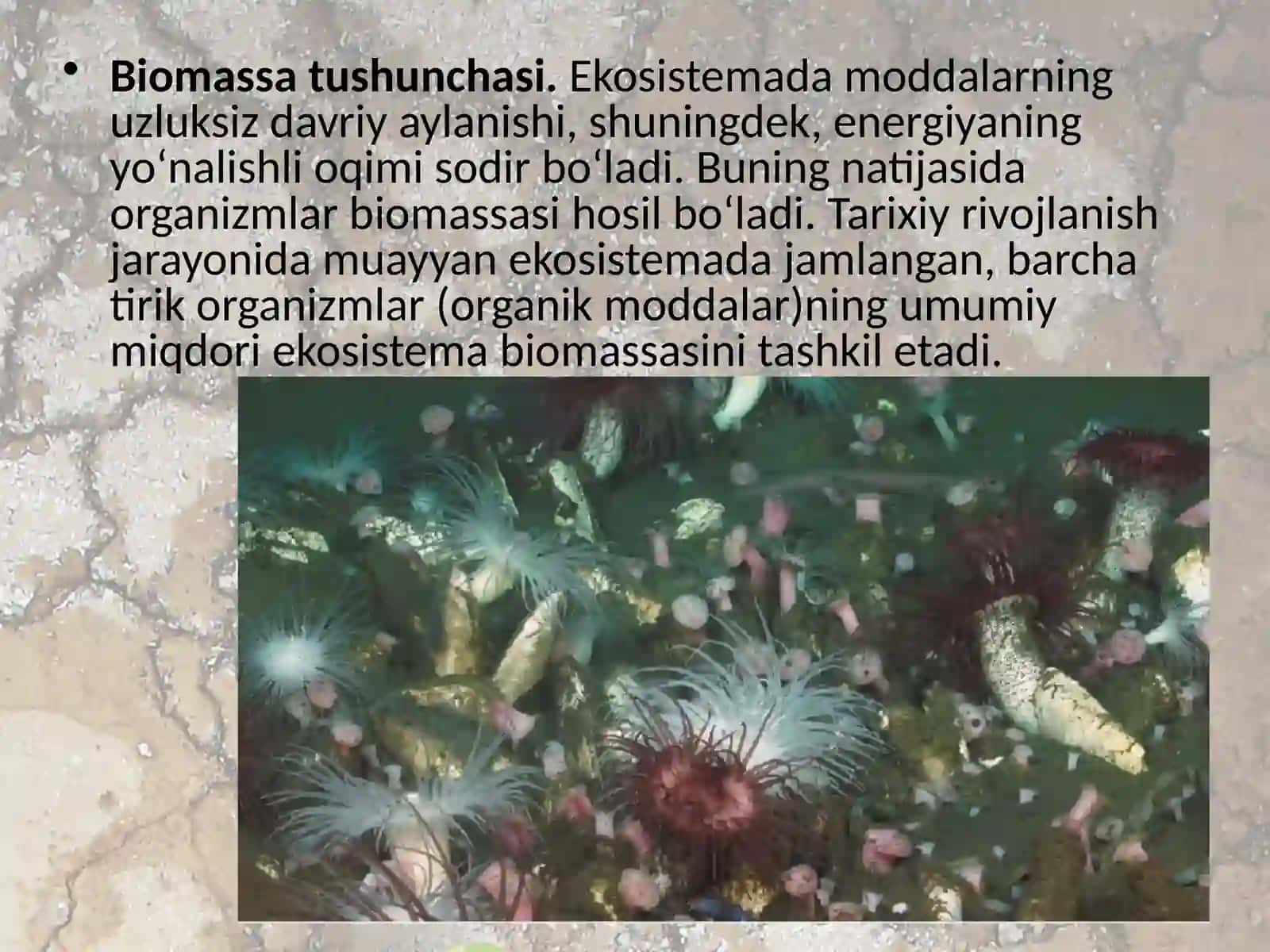 Ekotizimlarning mahsuldorligi 2