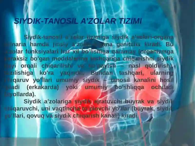 Siydik jinsiy a’zolar travmasi 2