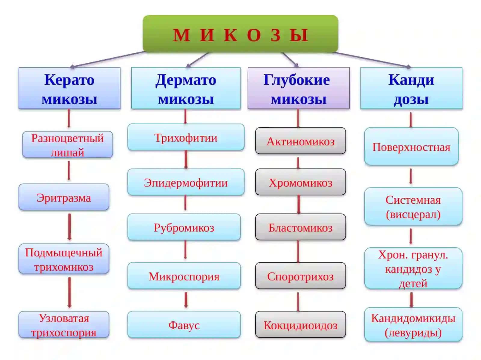 Грибковые заболевания кожи 2