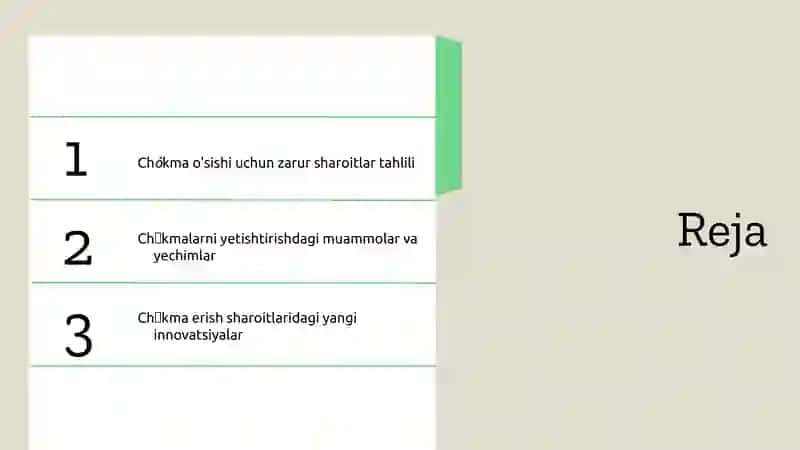 Chókmalarningerishsharoitlari 2
