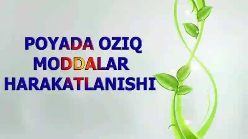 Poyada oziq moddalarning harakati 2