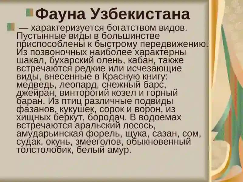 Фауна Узбекистана 2