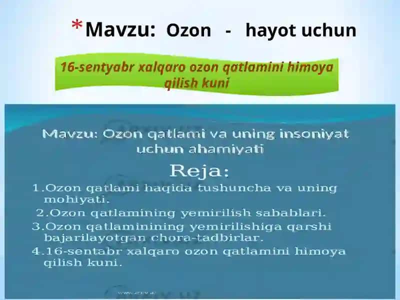 Ozon-hayot uchun nomli mustaqil ish 2