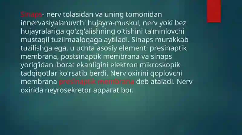 SINAPSLAR FIZIOLOGIYASI 2