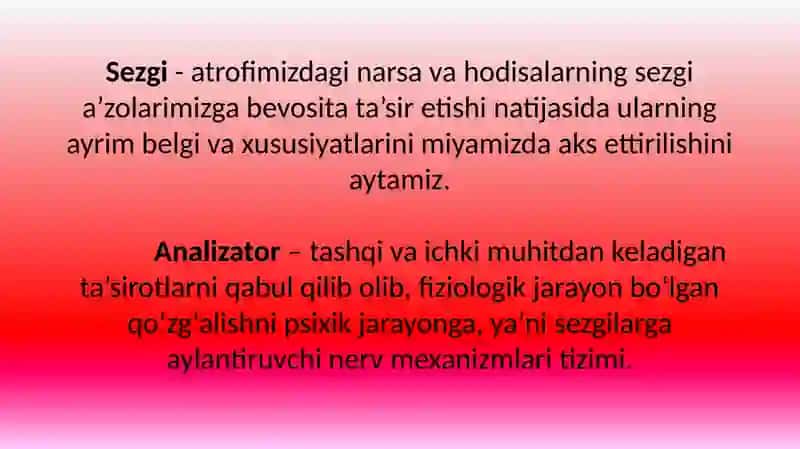 Sezgilarningnervfiziologikasoslari 2