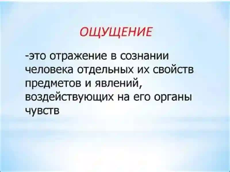 Лекция 7. Ощущение и восприятие 2