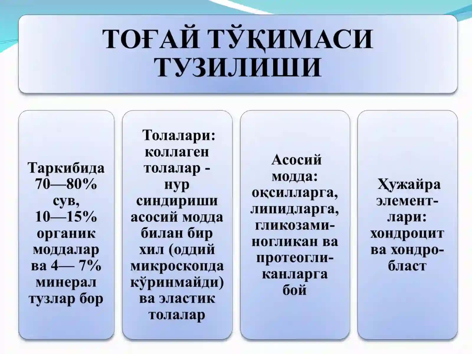 Тоғай ва суяк тўқималари 2