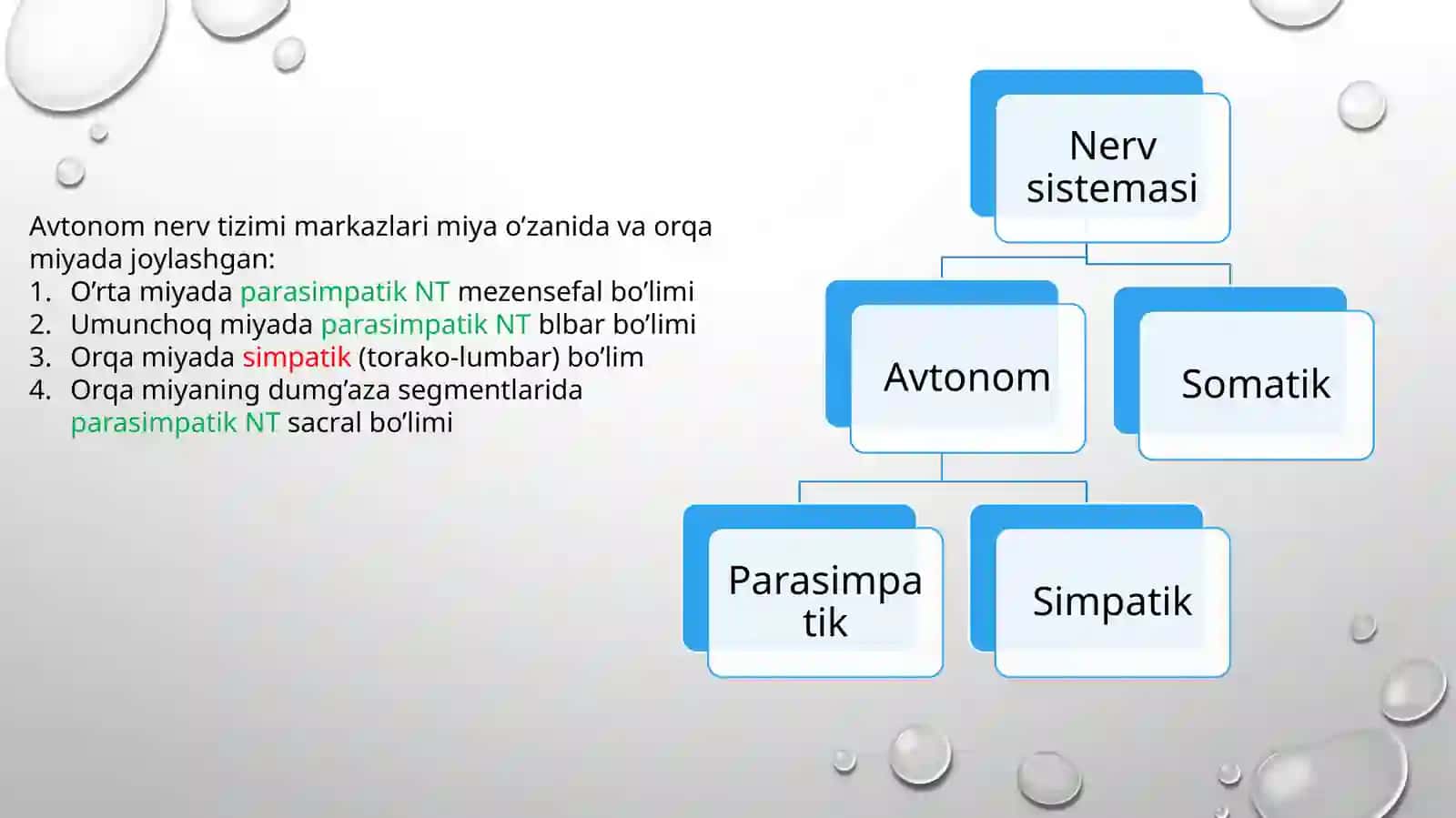 Vegetativ nerv sistemasining o'rganish 2