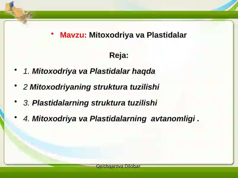 Mitoxodriya va Plastidalarning tuzilishi 2