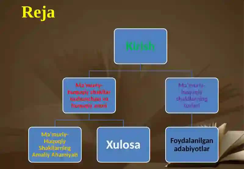 Ma’muriy-huquqiy shakllar tushunchasi 2