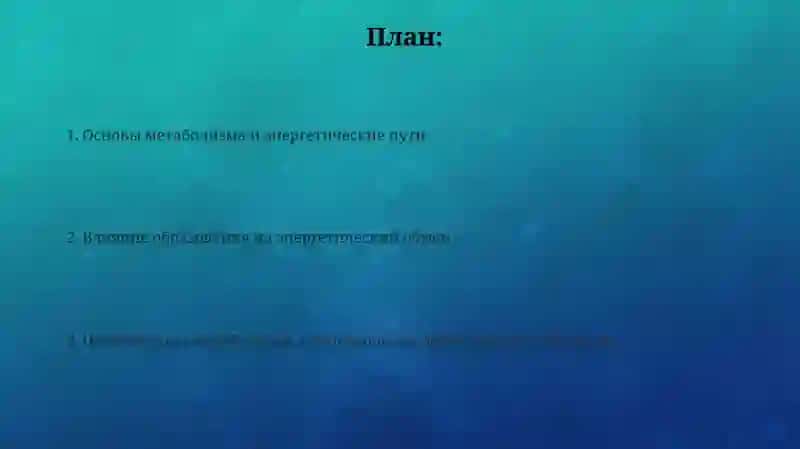 Лечебное дело 2