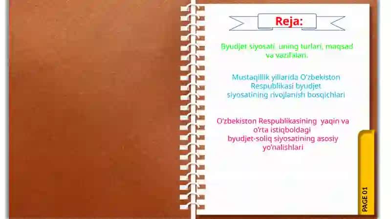 Byudjet-soliq siyosati 2