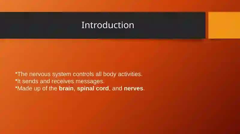 Nervous System 2