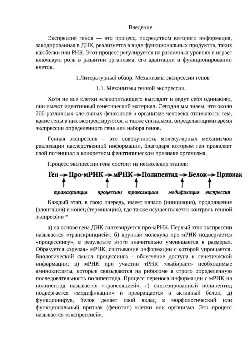 Механизмы экспрессии генов 2